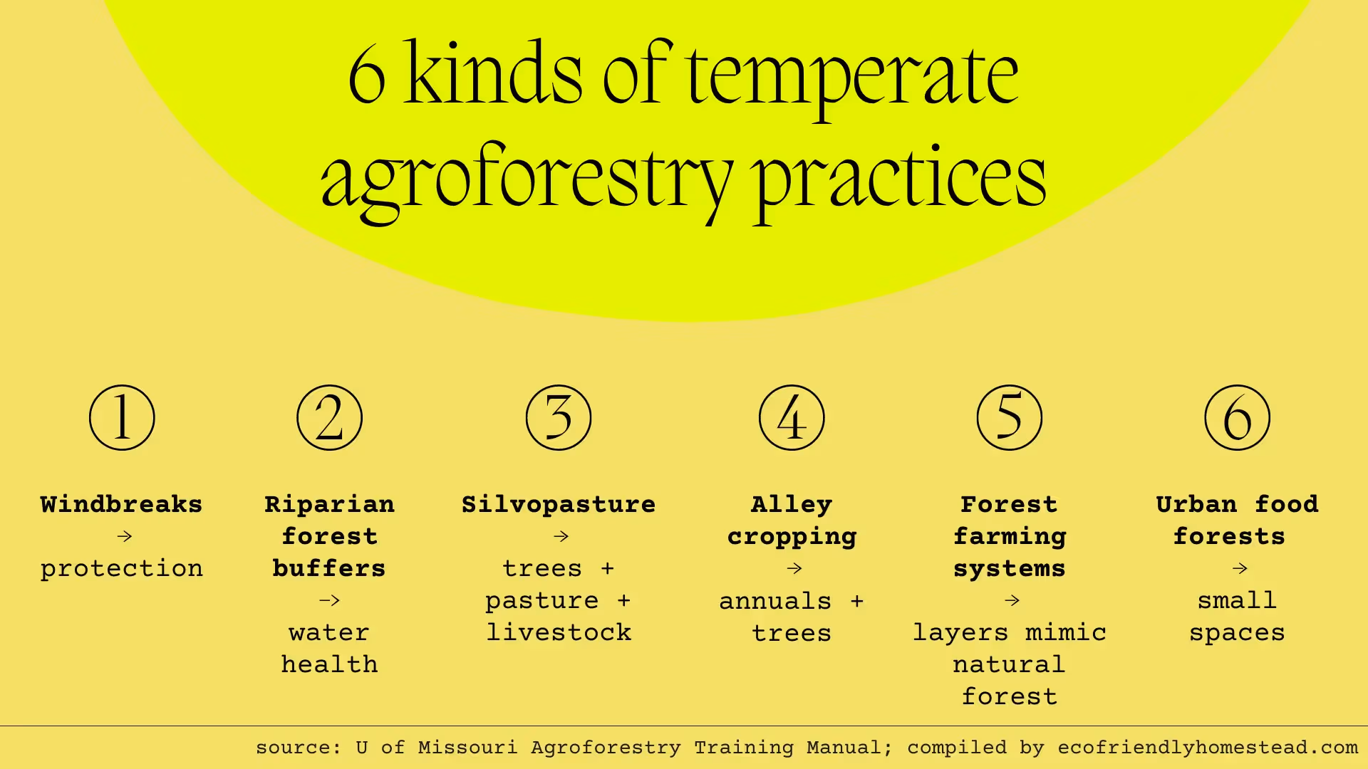 the types of agroforestry