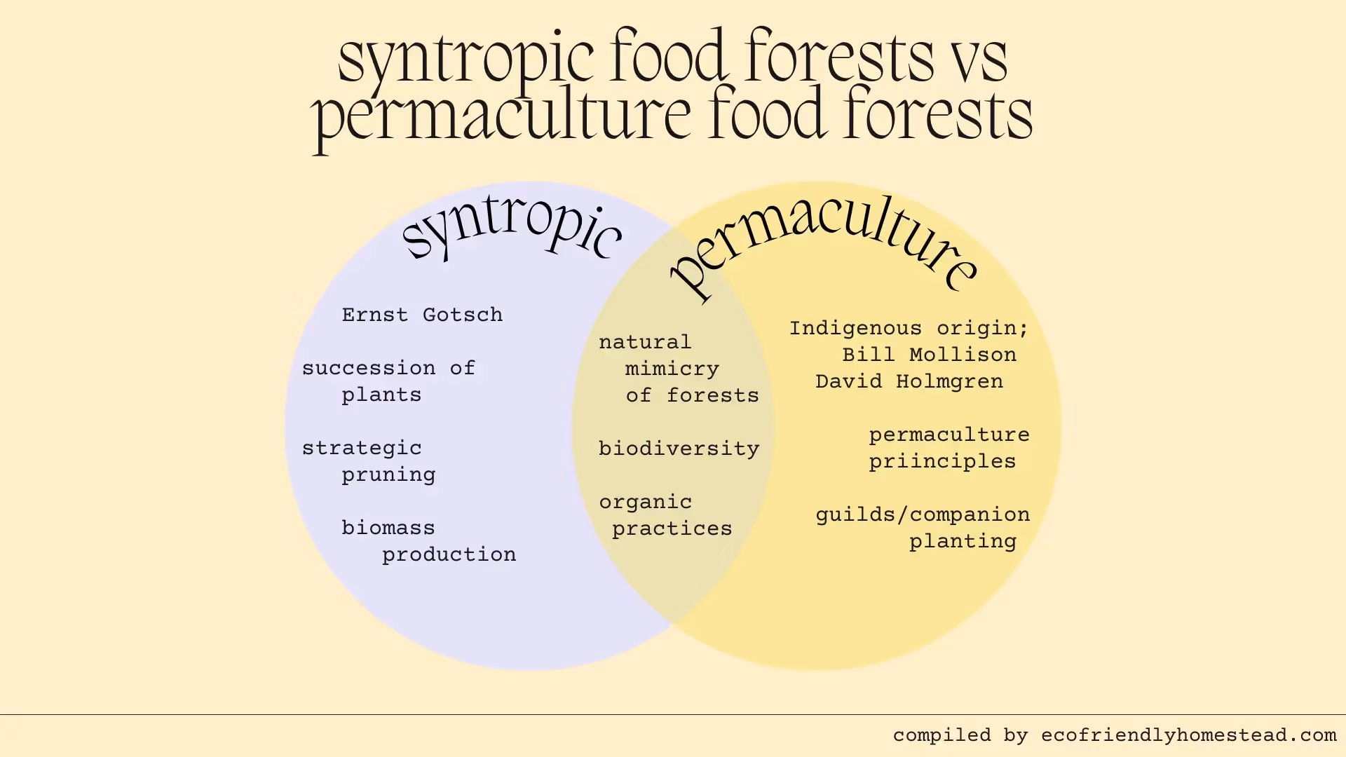 two types of food forests: syntropic and permaculture