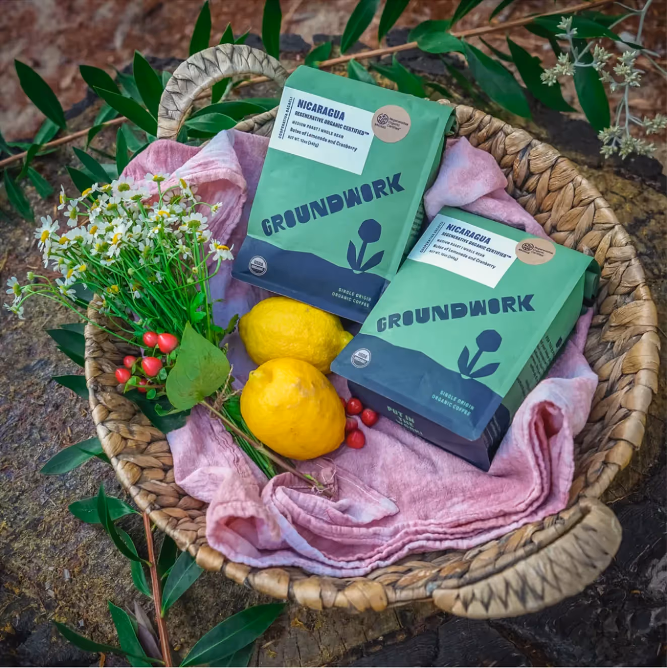 Regenerative Organic Certified Coffee from Groundwork