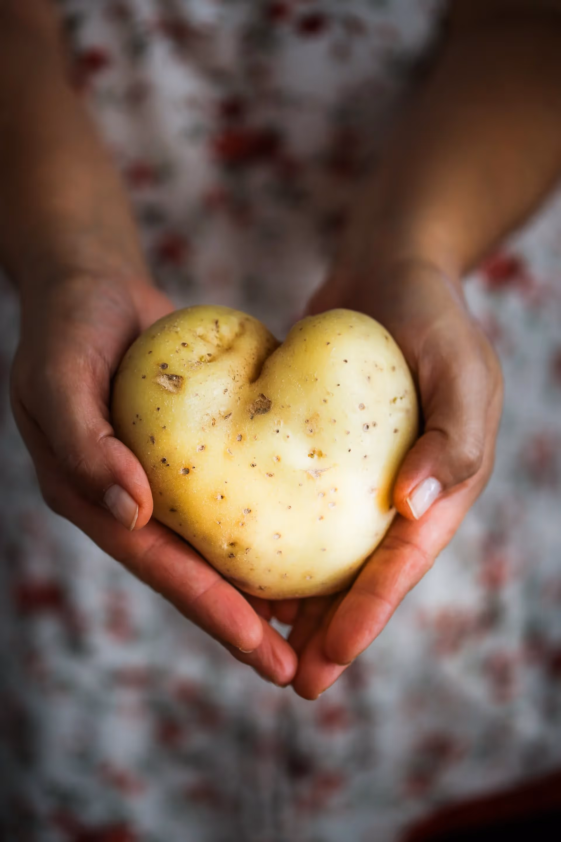 Learn sustainable ways to plant & grow potatoes for an abundant harvest. Use regenerative practices to build soil health & be eco-friendly.