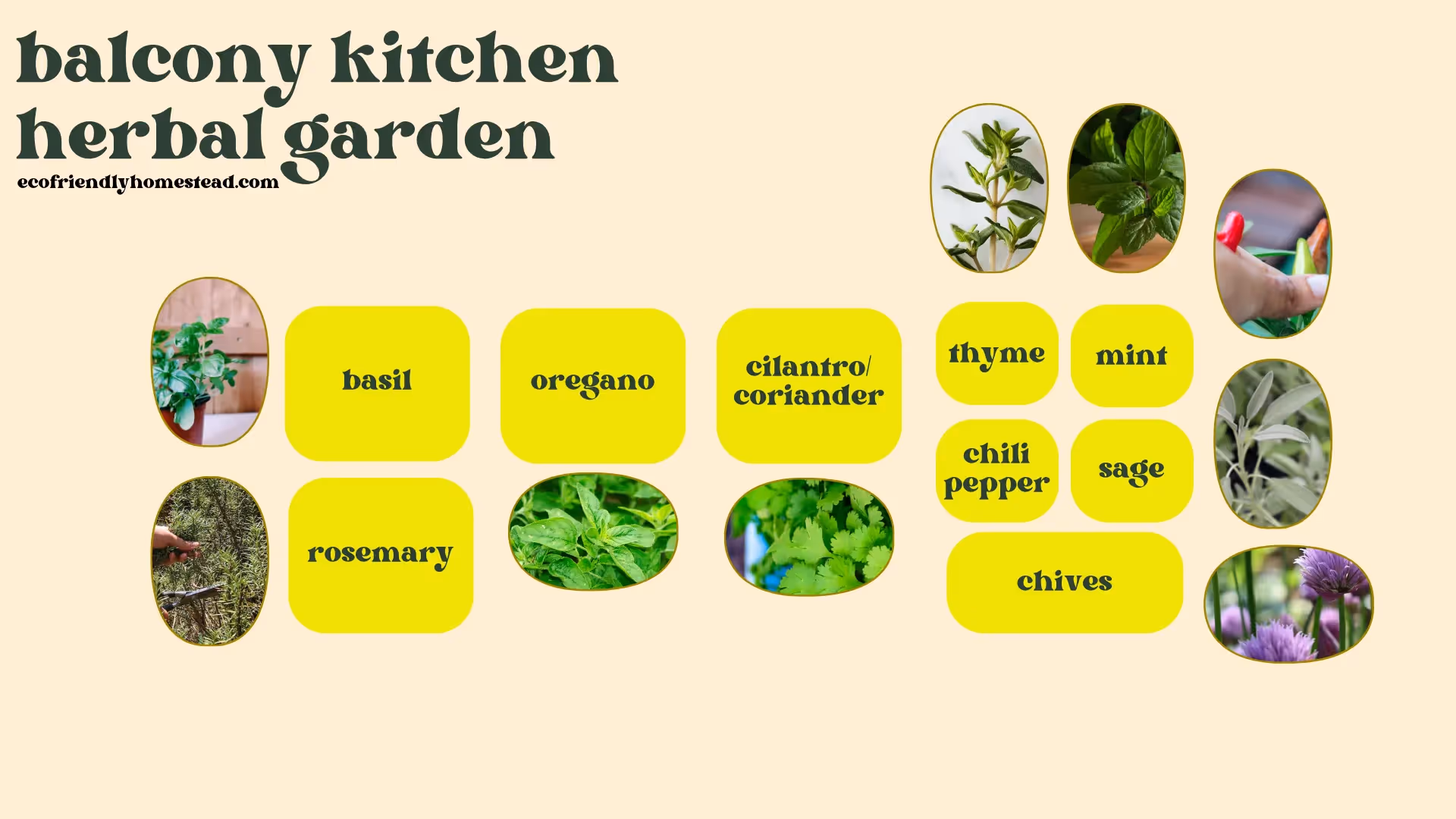 balcony kitchen herbal garden