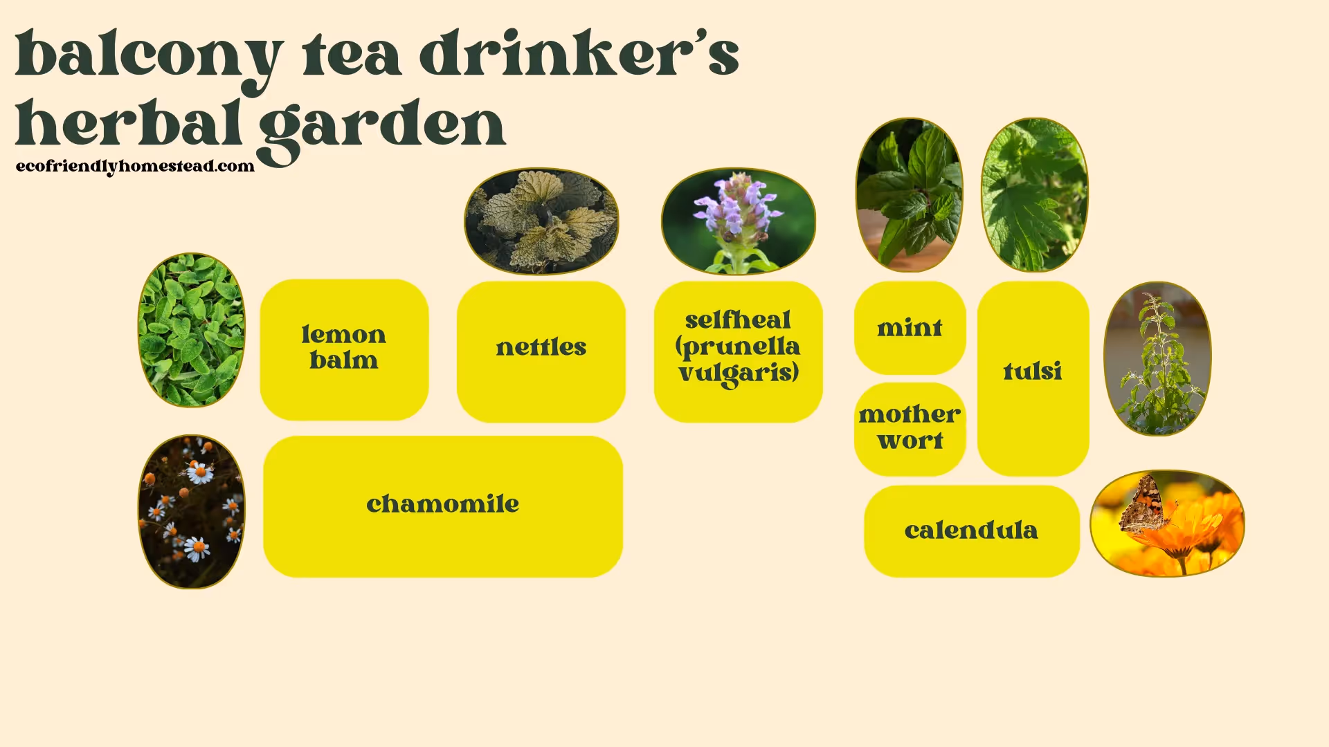 which herbs to grow for tea in containers