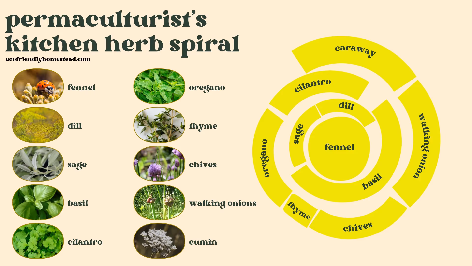 permaculture herb spiral for kitchen