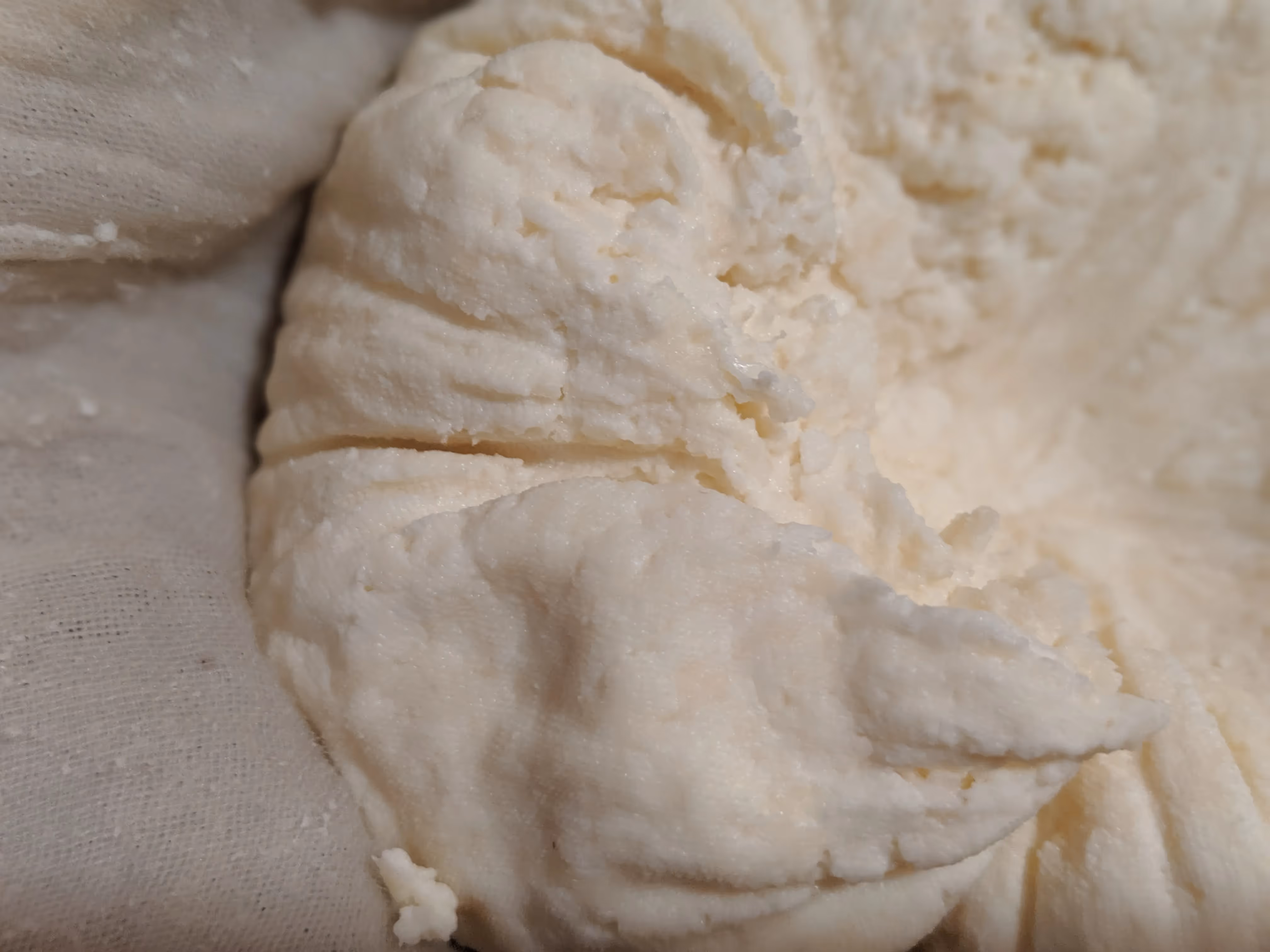 easy paneer recipe from goat milk