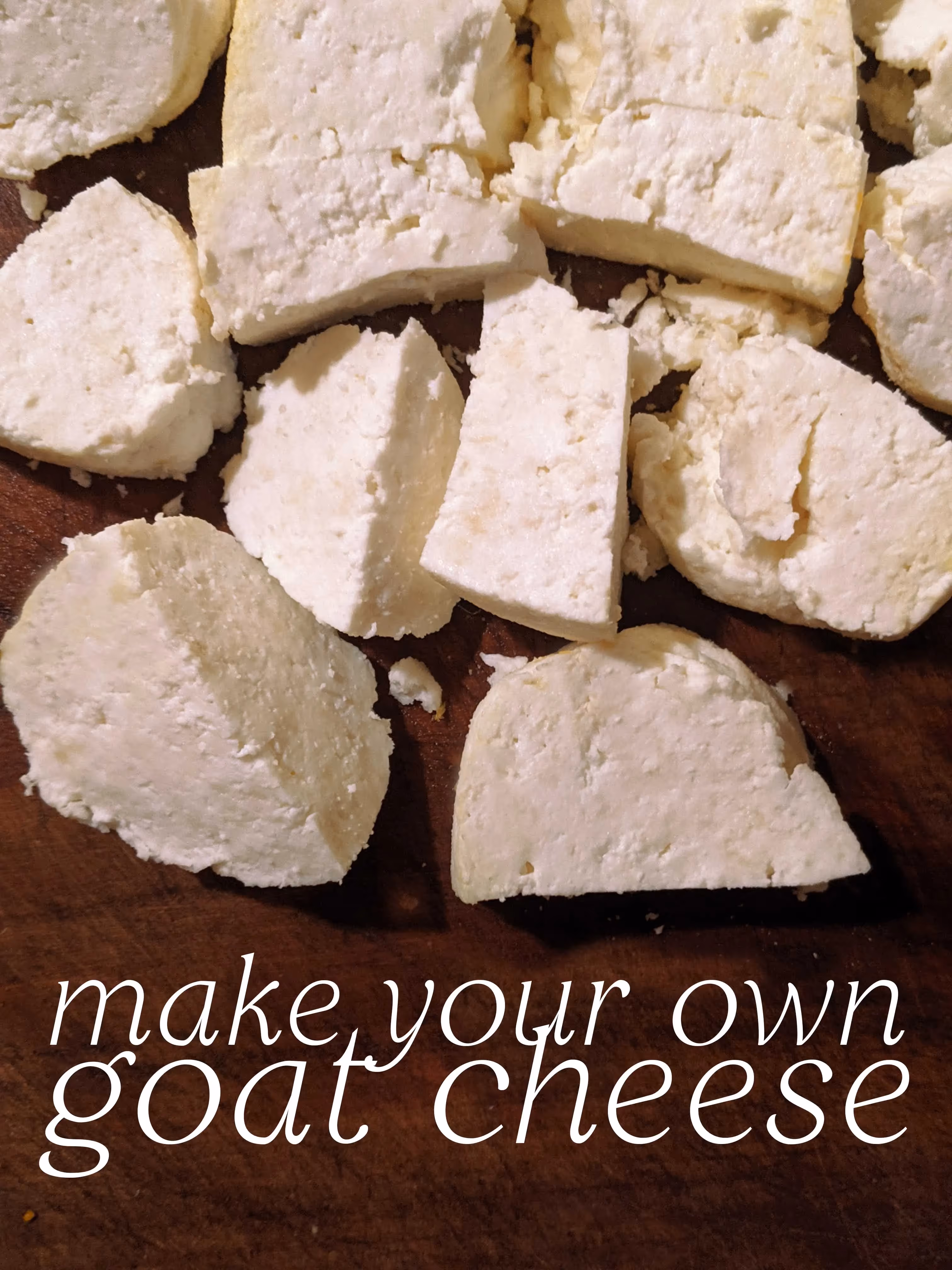 Easiest goat cheese recipe (no special equipment needed)