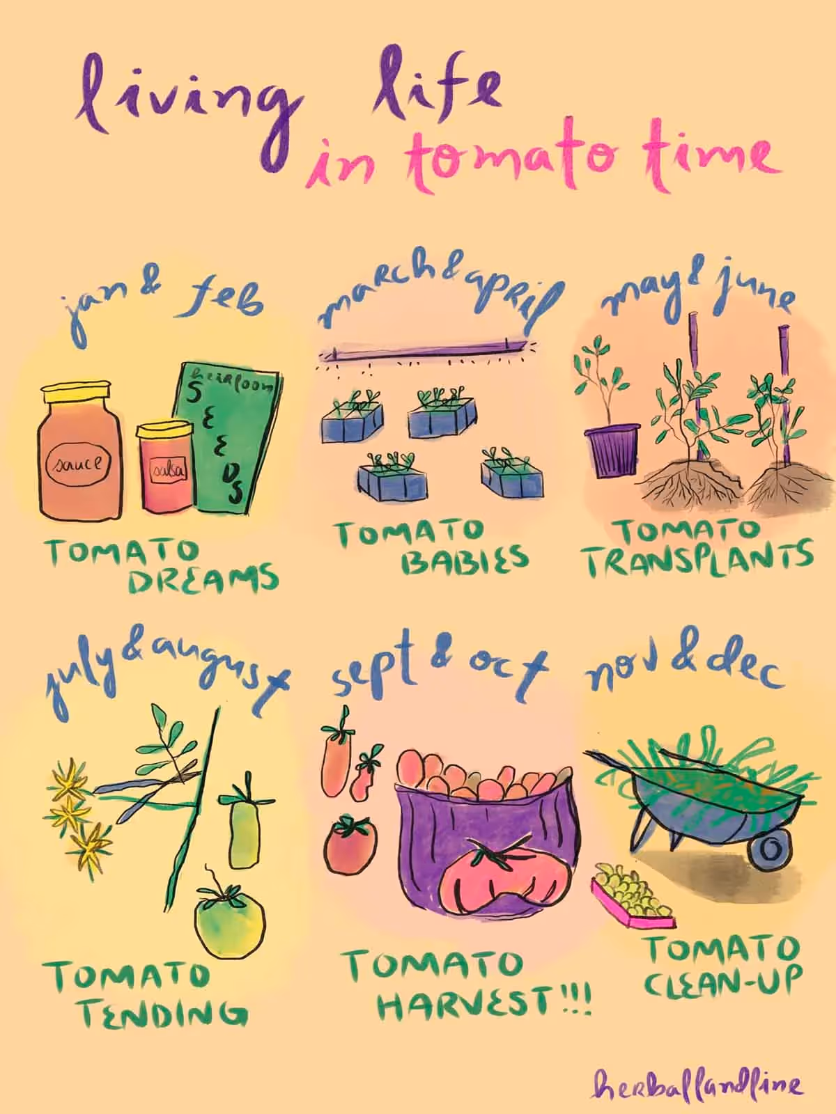 tomato planting calendar