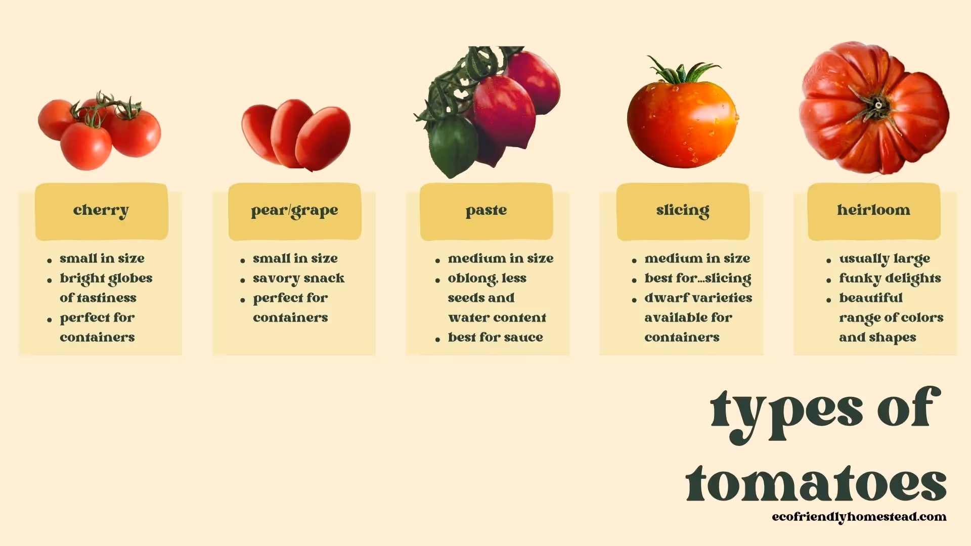 the different types of tomatoes