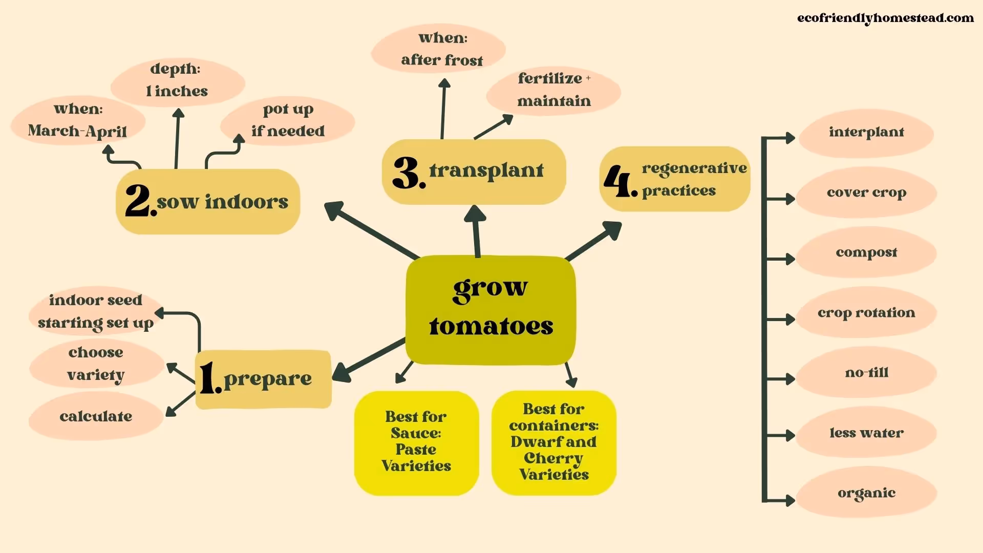 growing tomatoes from seed guide