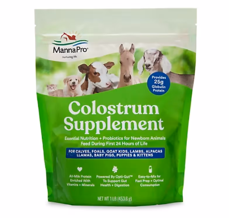 colostrum supplement for baby goats