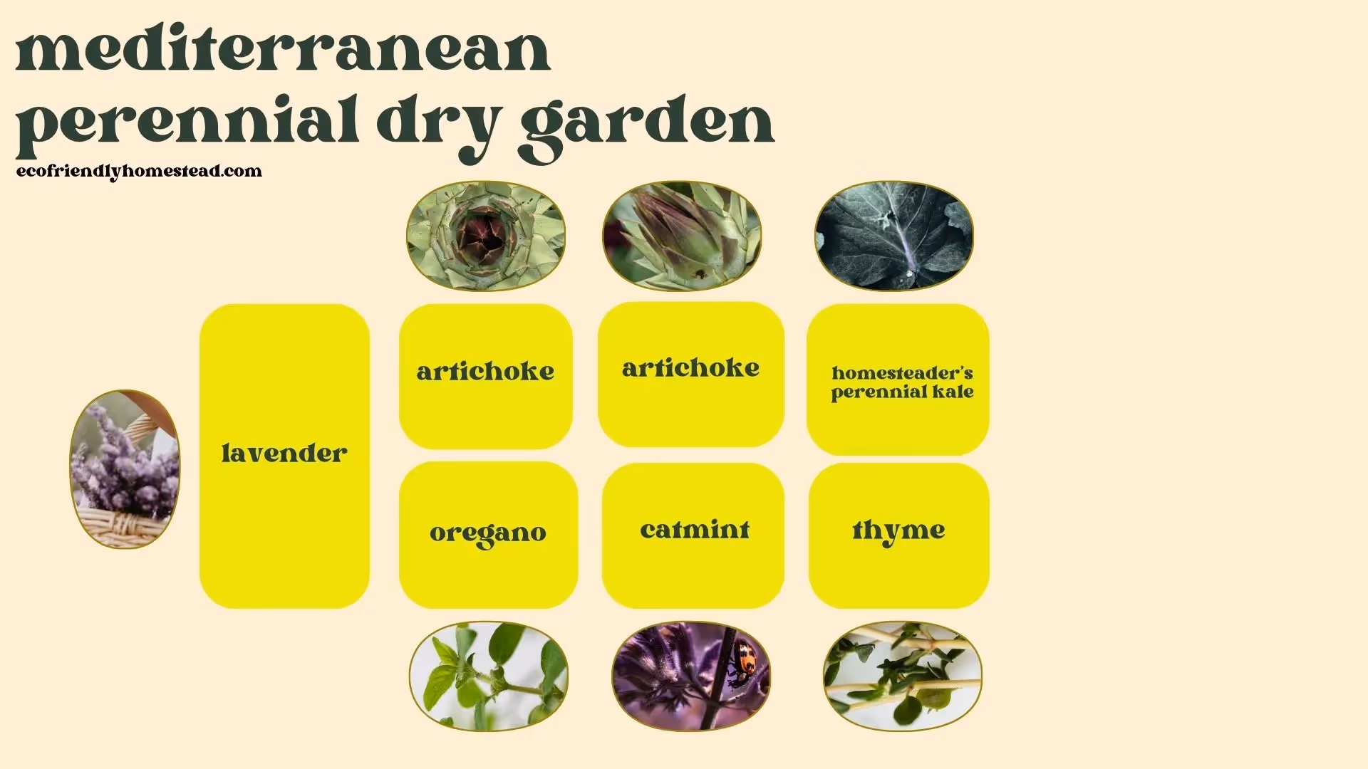 mediterranean perennial raised bed layout