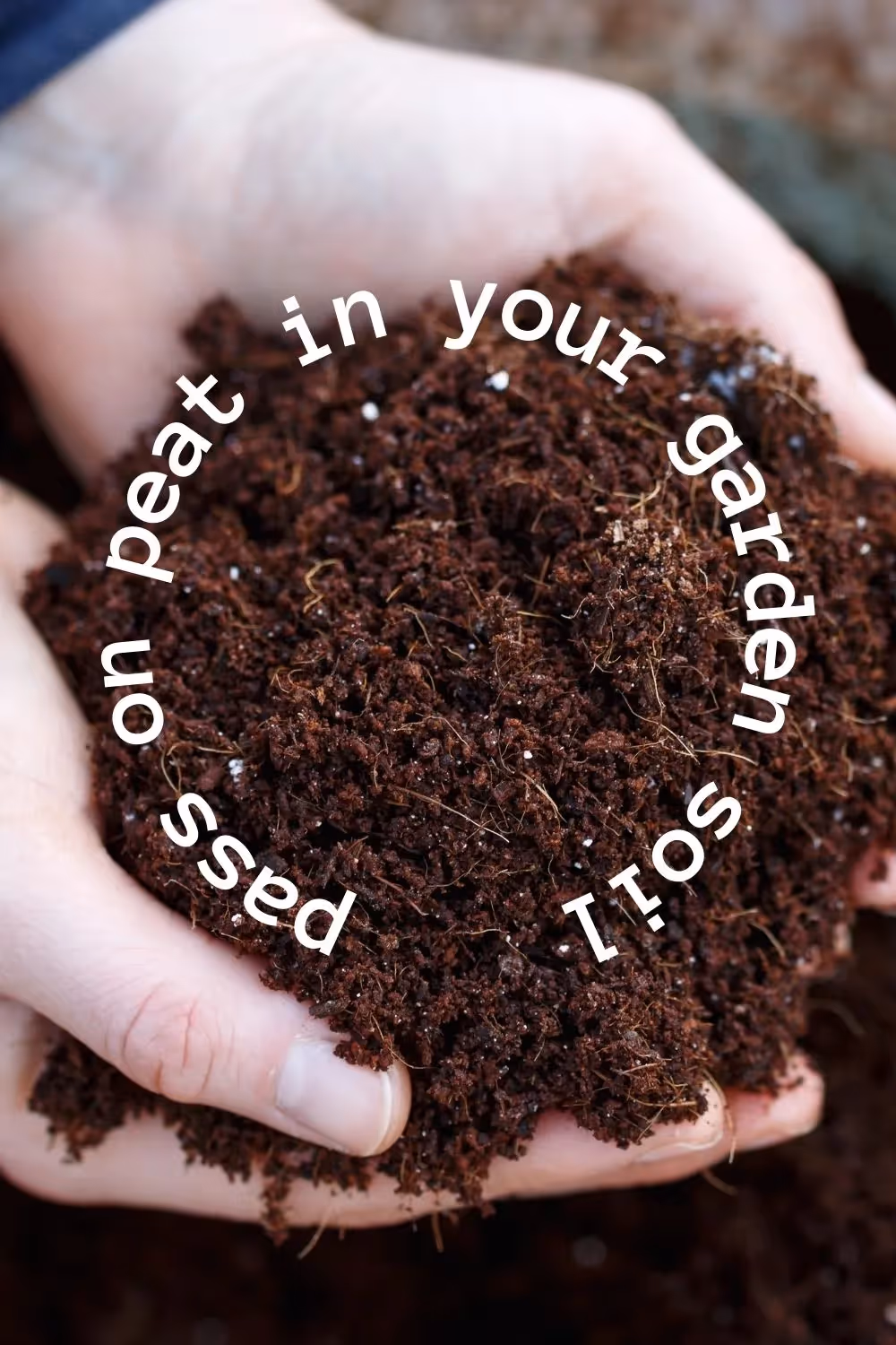 Pass on Peat: Why we need a better solution for bagged soil