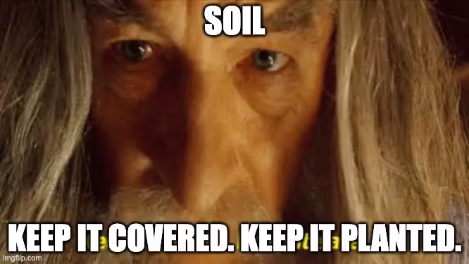 cover crops and mulch for soil carbon capture