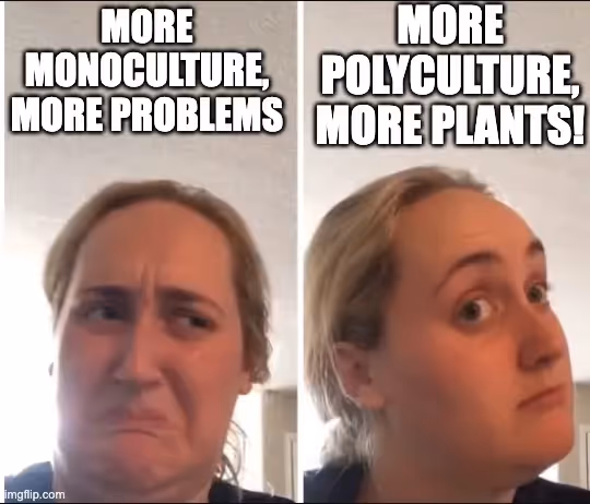 aim for biodiversity in your regenerative garde