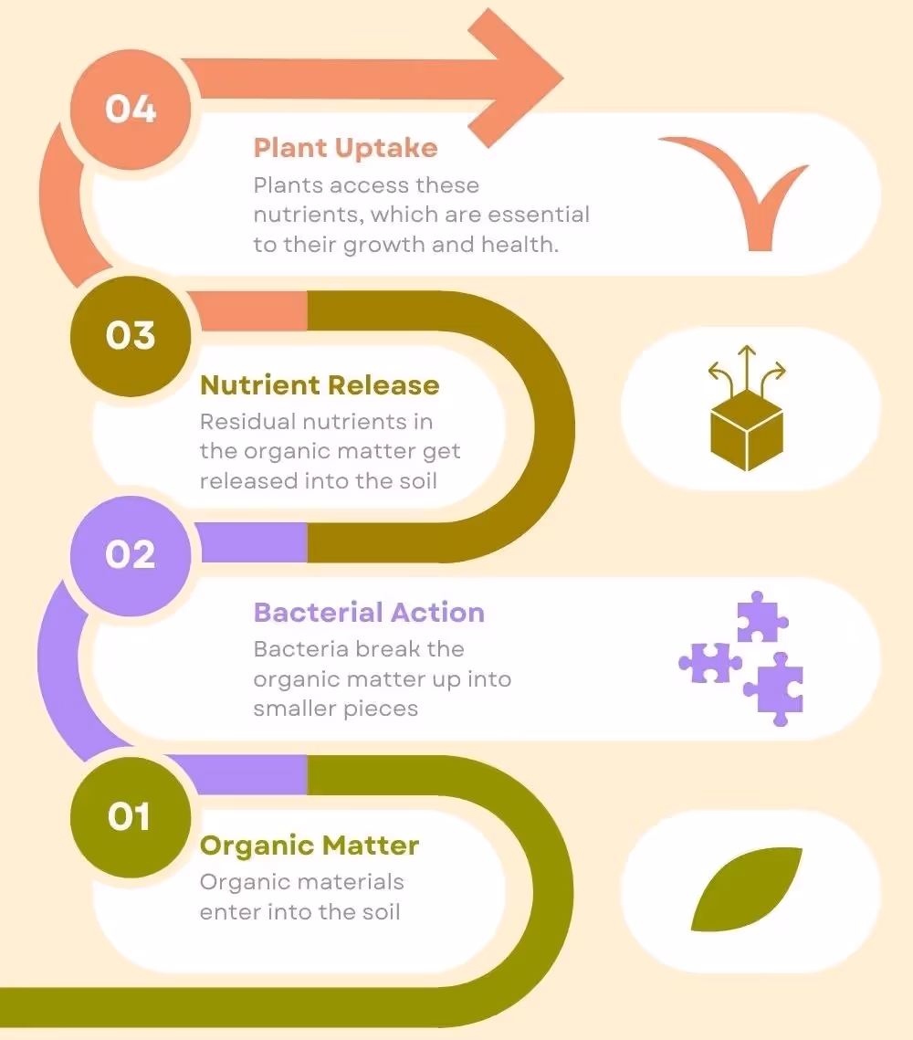 organic matter helps feed bacteria and capture carbon