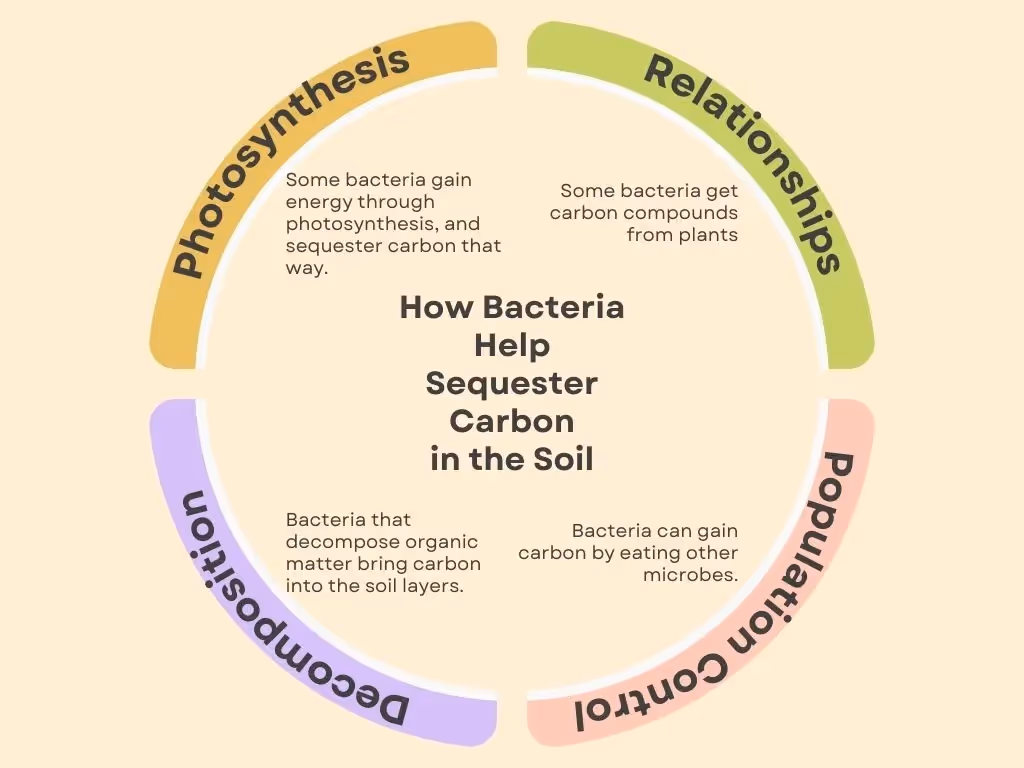 bacteria mitigate climate change in regenerative agriculture