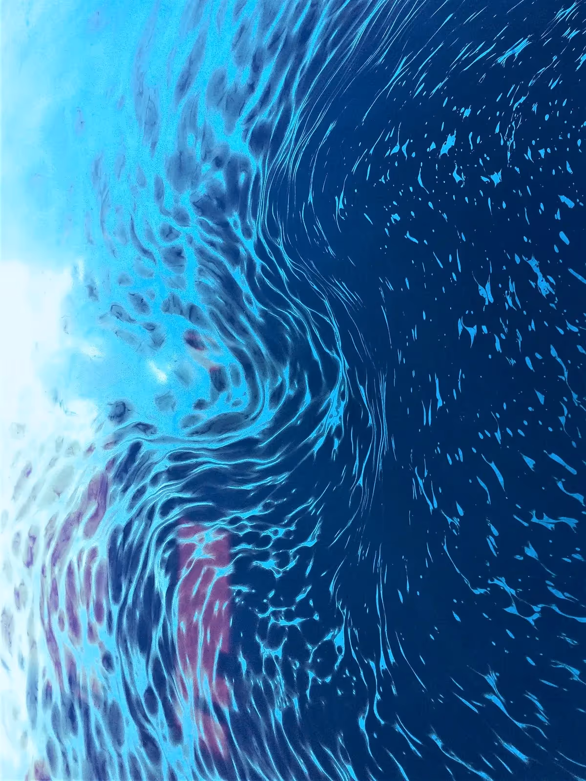 Can Plants Help Clean Up Oil Spills? Nature’s Role in Environmental Remediation