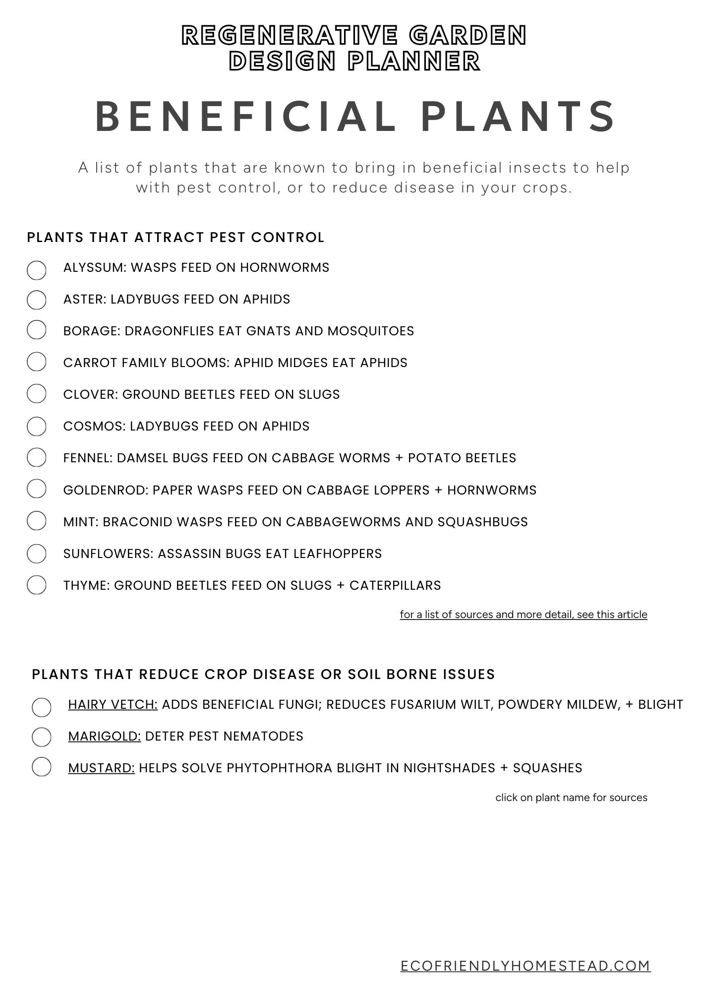 EcoFriendly Sustainable Garden Action Plan Your Guide to Regenerative
