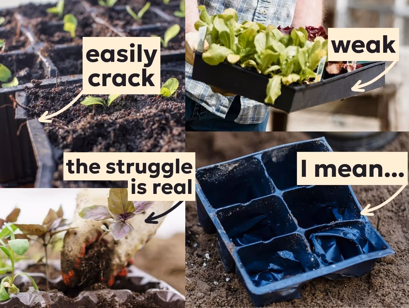 Alternatives to flimsy plastic seed starting trays