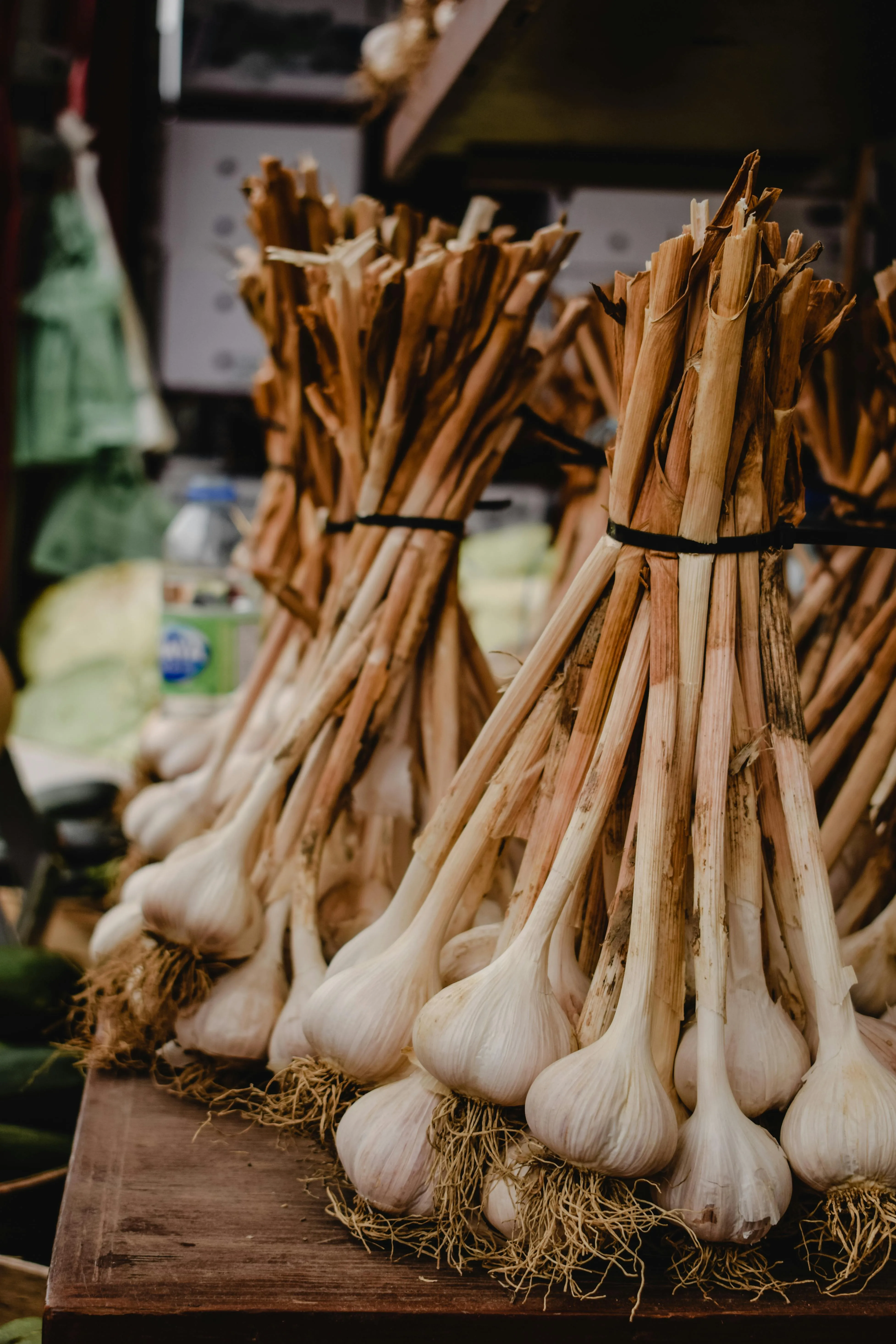 How I Harvest Over 100 Heads of Garlic Each Year and Make Them Last for Months – My Garlic Curing and Storage Tips for Self-Sufficiency