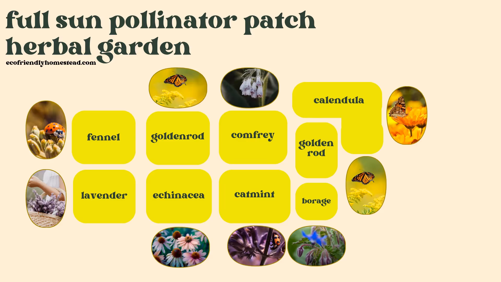 bee friendly planting guide