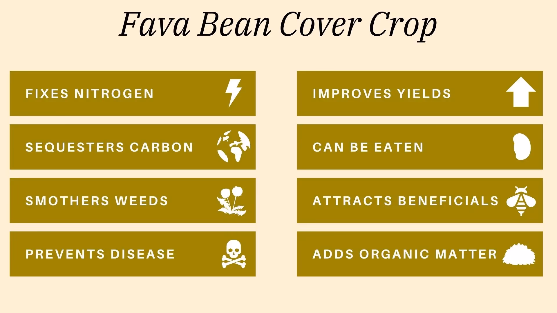 benefits of fava beans for regenerative gardening
