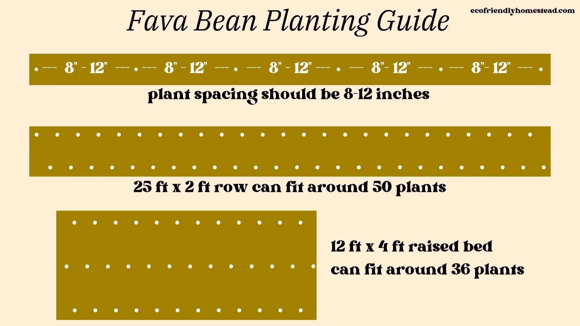 how to plant fava beans: spacing