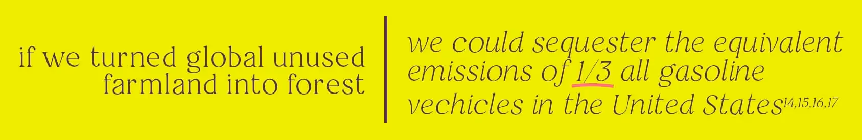 If we turned global unused farmland into forest, we could sequester the equivalent emissions of 1/3of all gasoline vechicles in the united stated