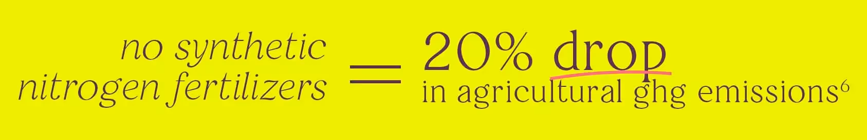 there would be a 20% drop in agricultural ghg emissions if we stopped using synthetic nitrogen fertilizers
