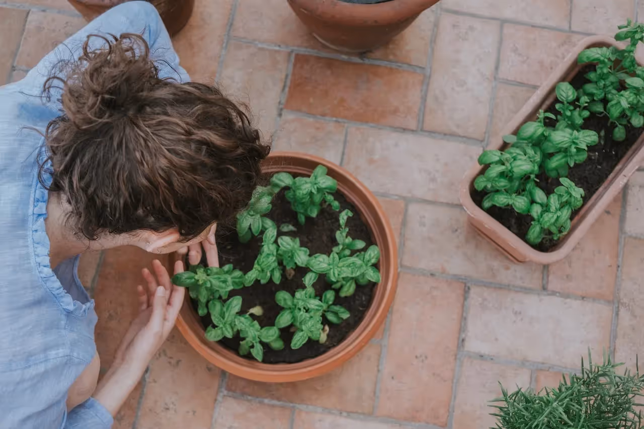best ecofriendly containers for vegetables
