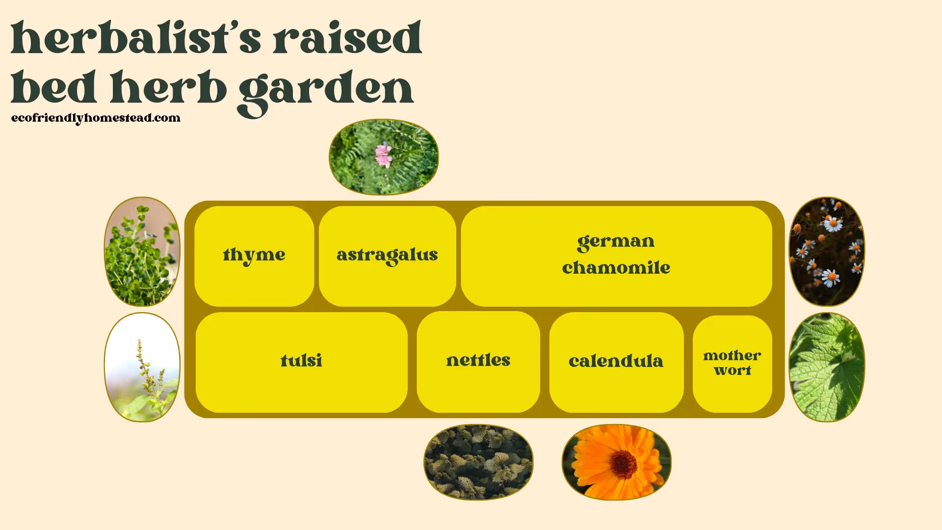 herbalist raised bed garden design