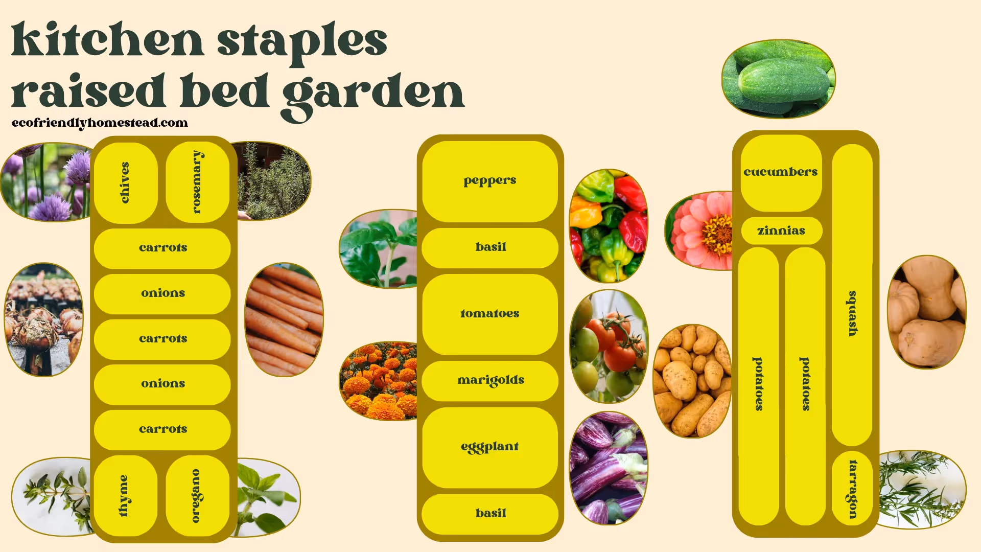 regenerative garden plan