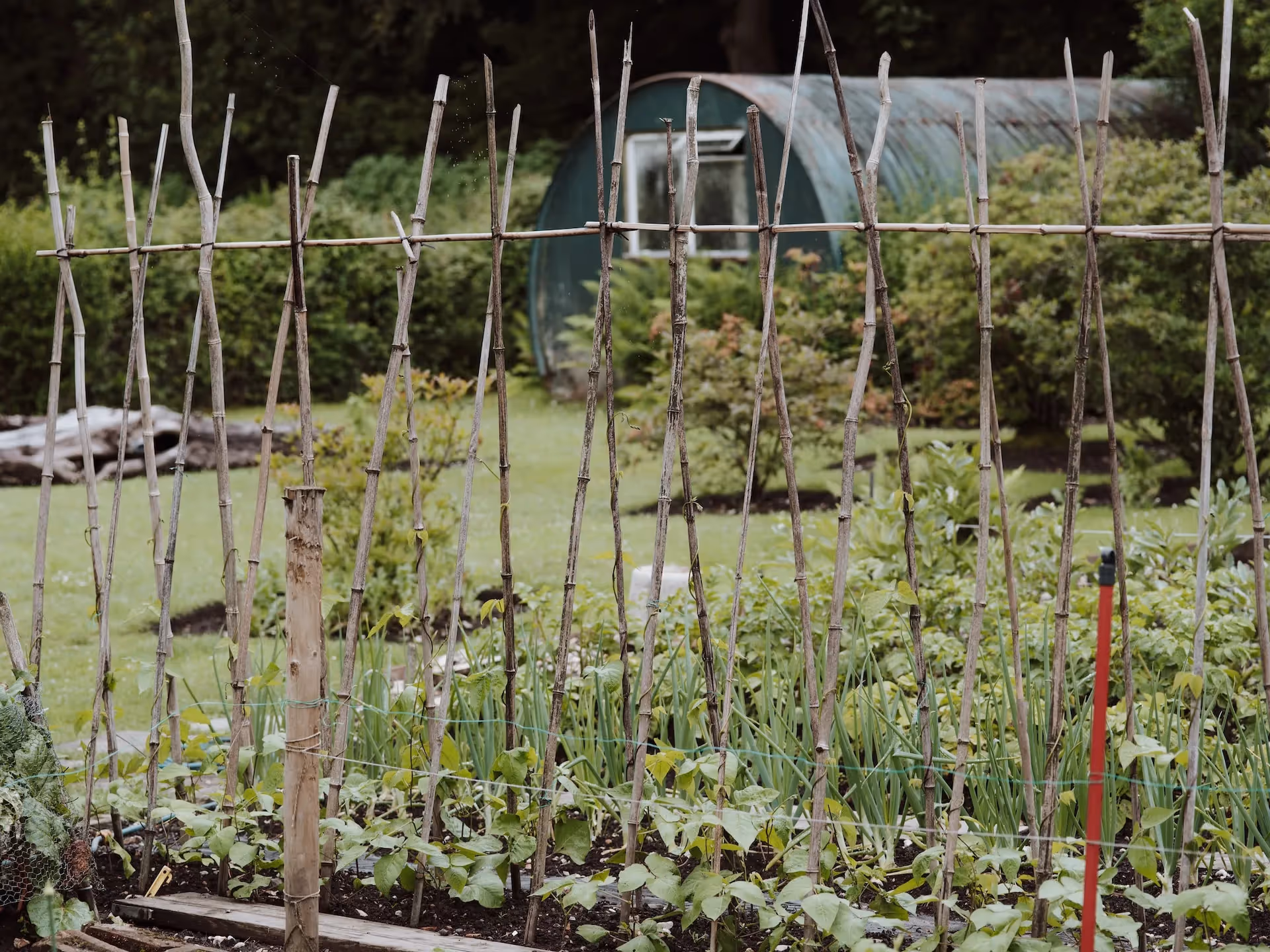 raised bed garden design