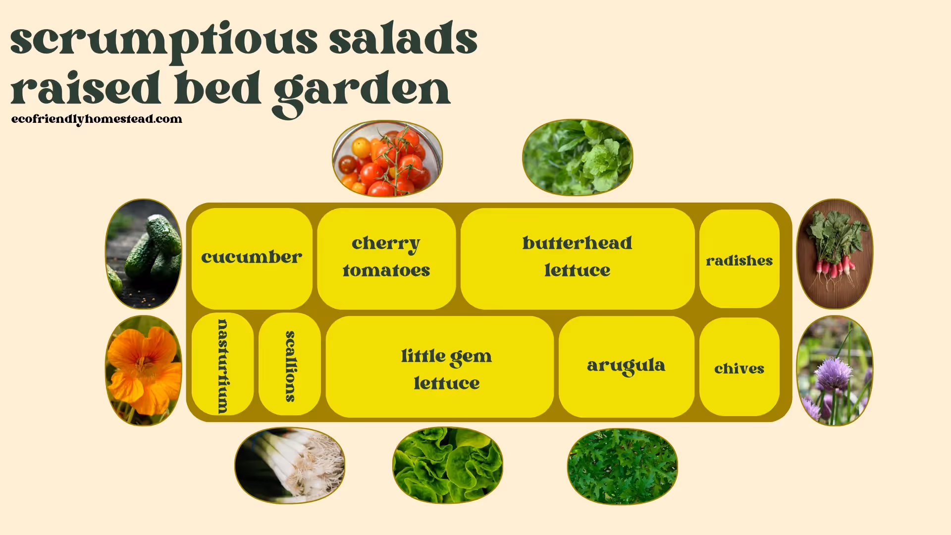 salad bed garden plan