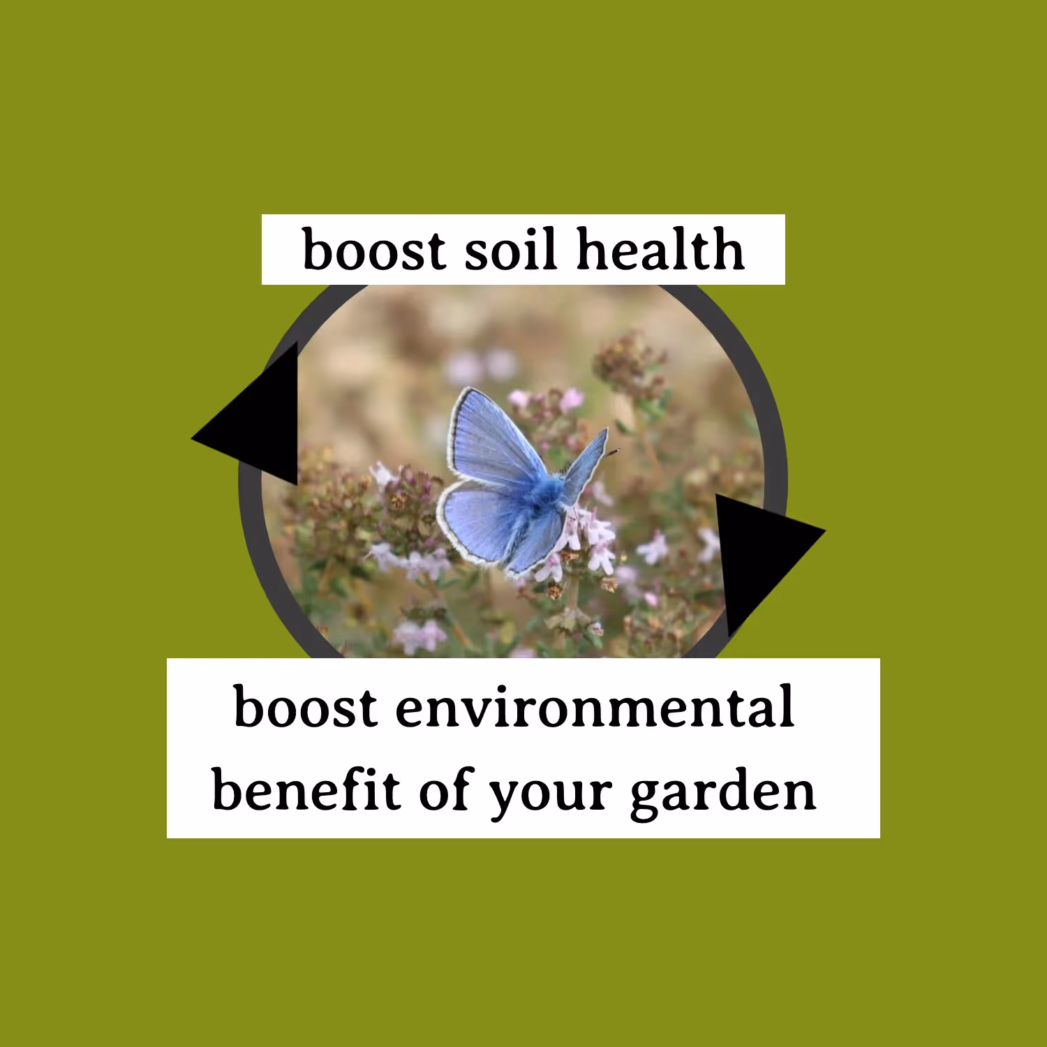 build soil health, and boost the environmental benefit of your garden. Implementing eco-friendly practices build soil health, and building soil health in turn supports the environment.