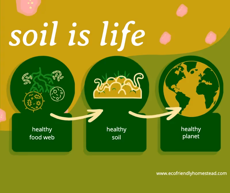 a healthy food web yields healthy soil; healthy soil yields a healthy planet. soil is life!