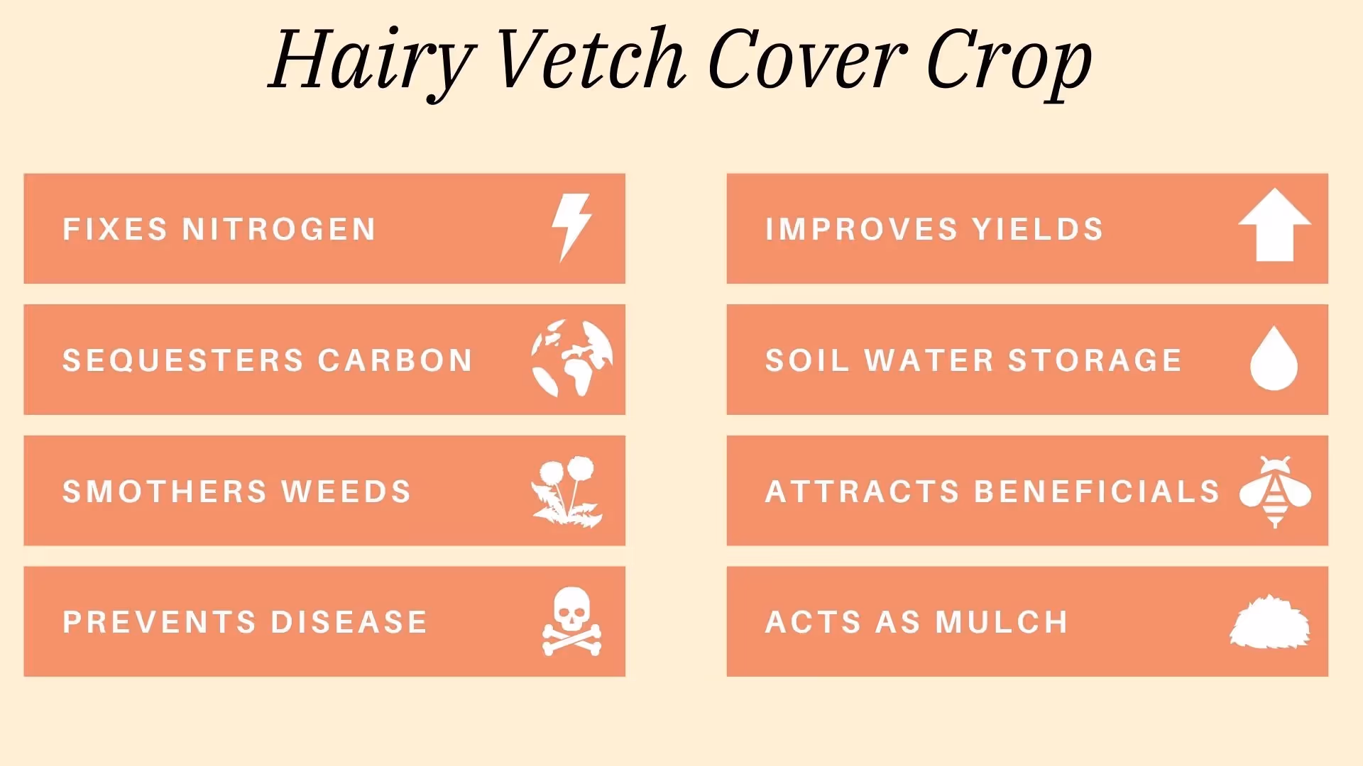 advantages of hairy vetch as a cover crop in regenerative agriculture