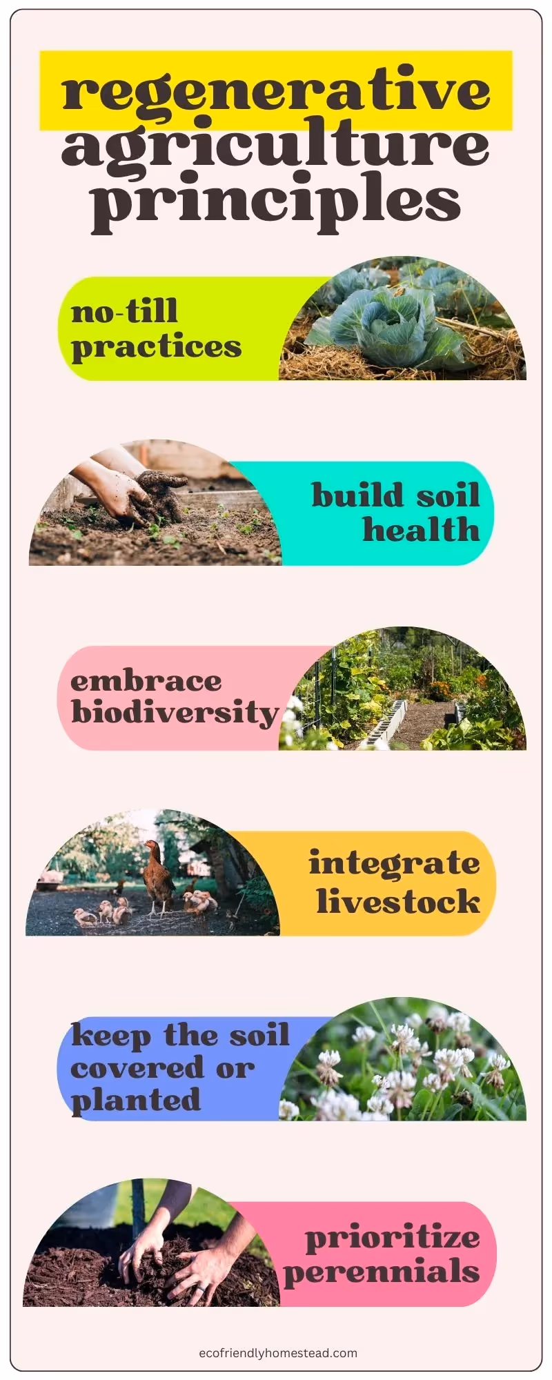 regenerative agriculture principles