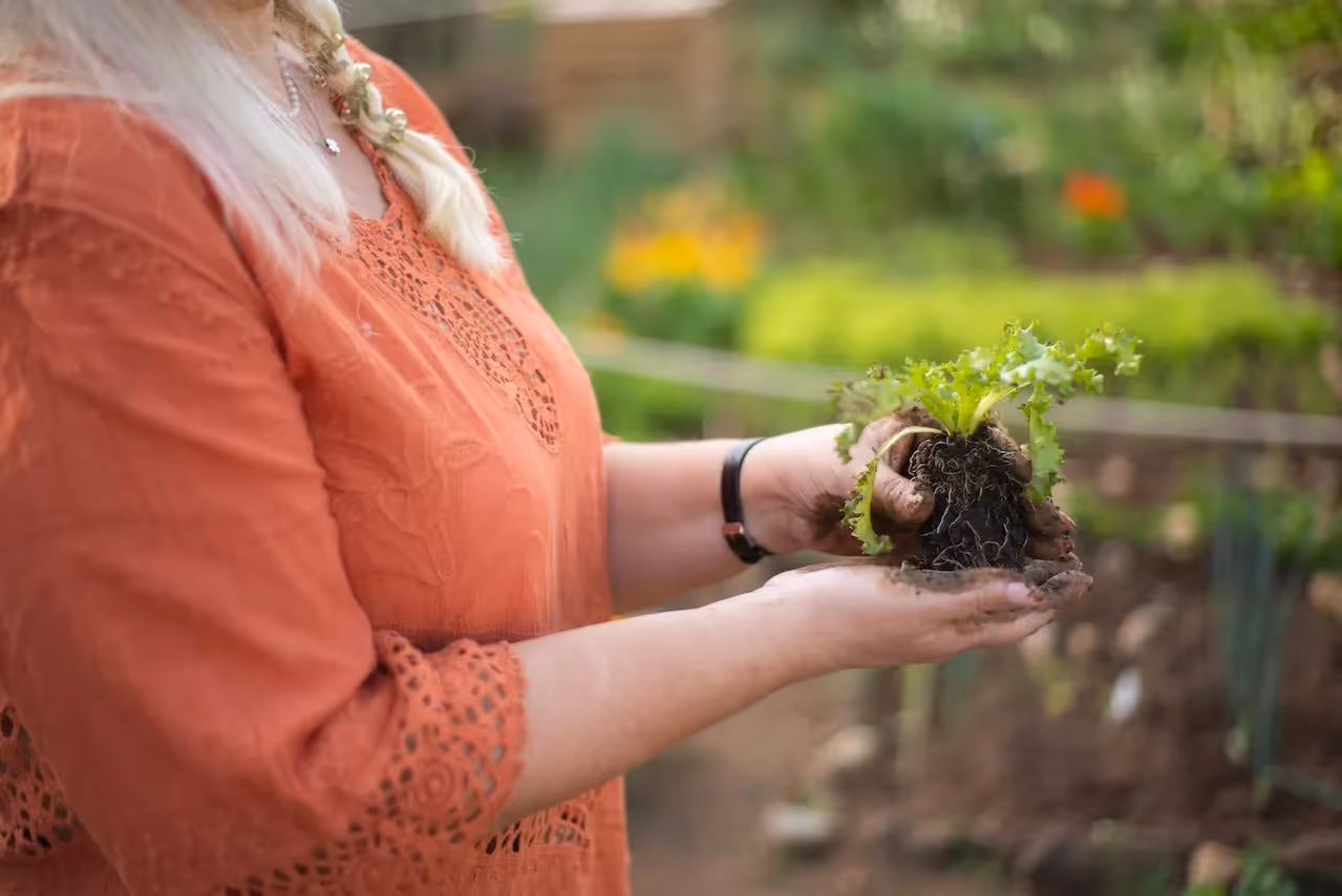 free organic no-till gardening classes online