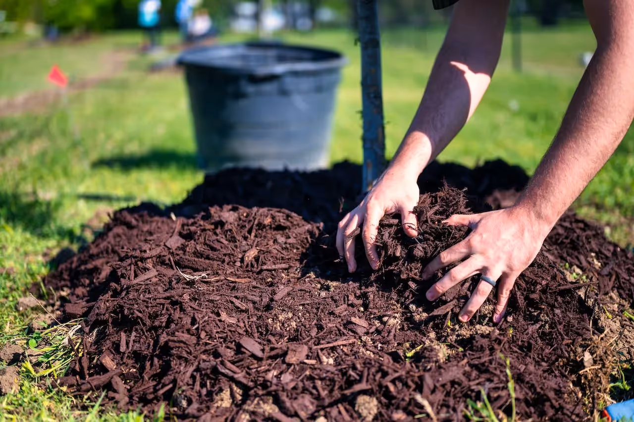 keep grass out of the garden