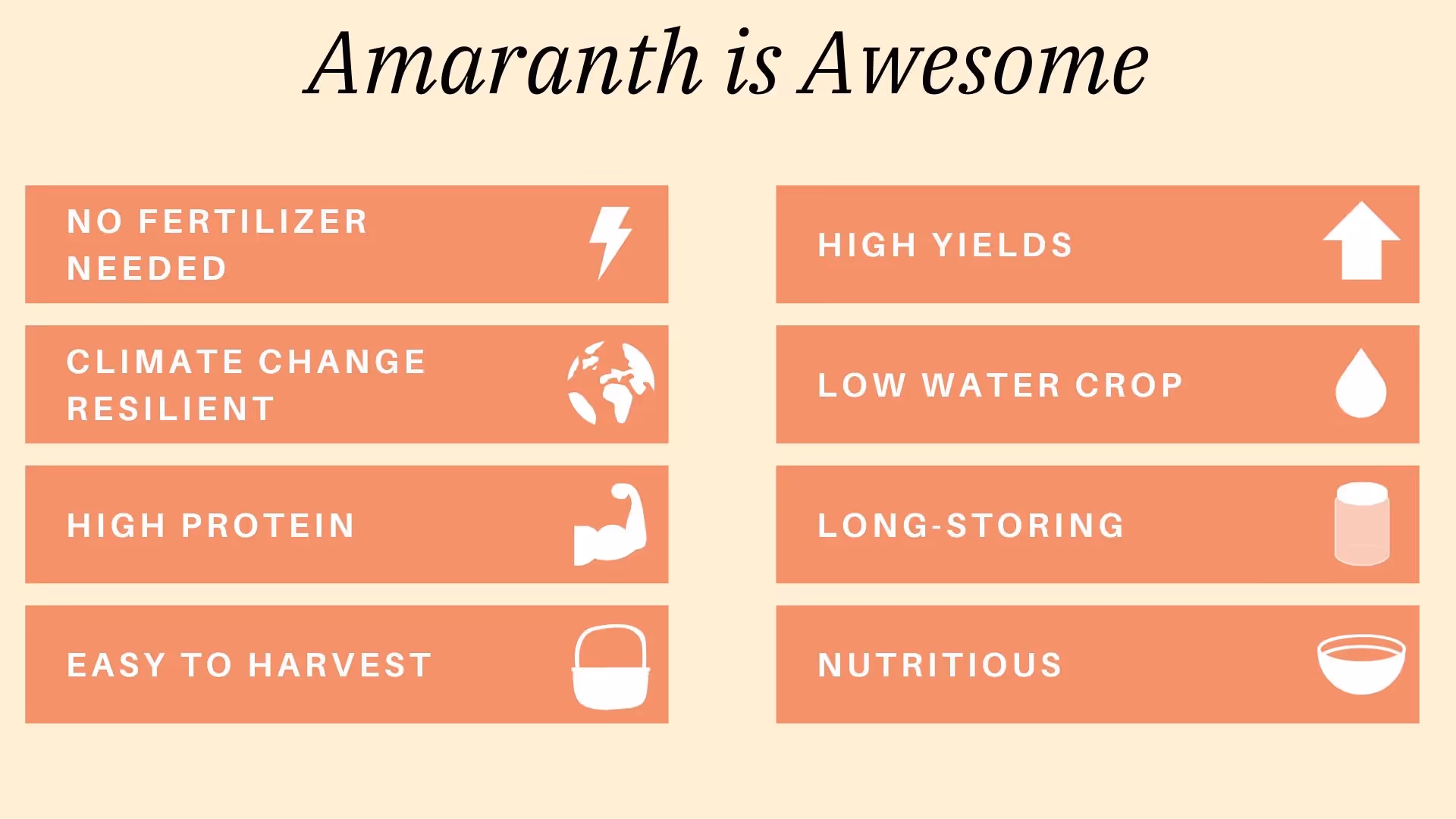 regenerative gardening with amaranth