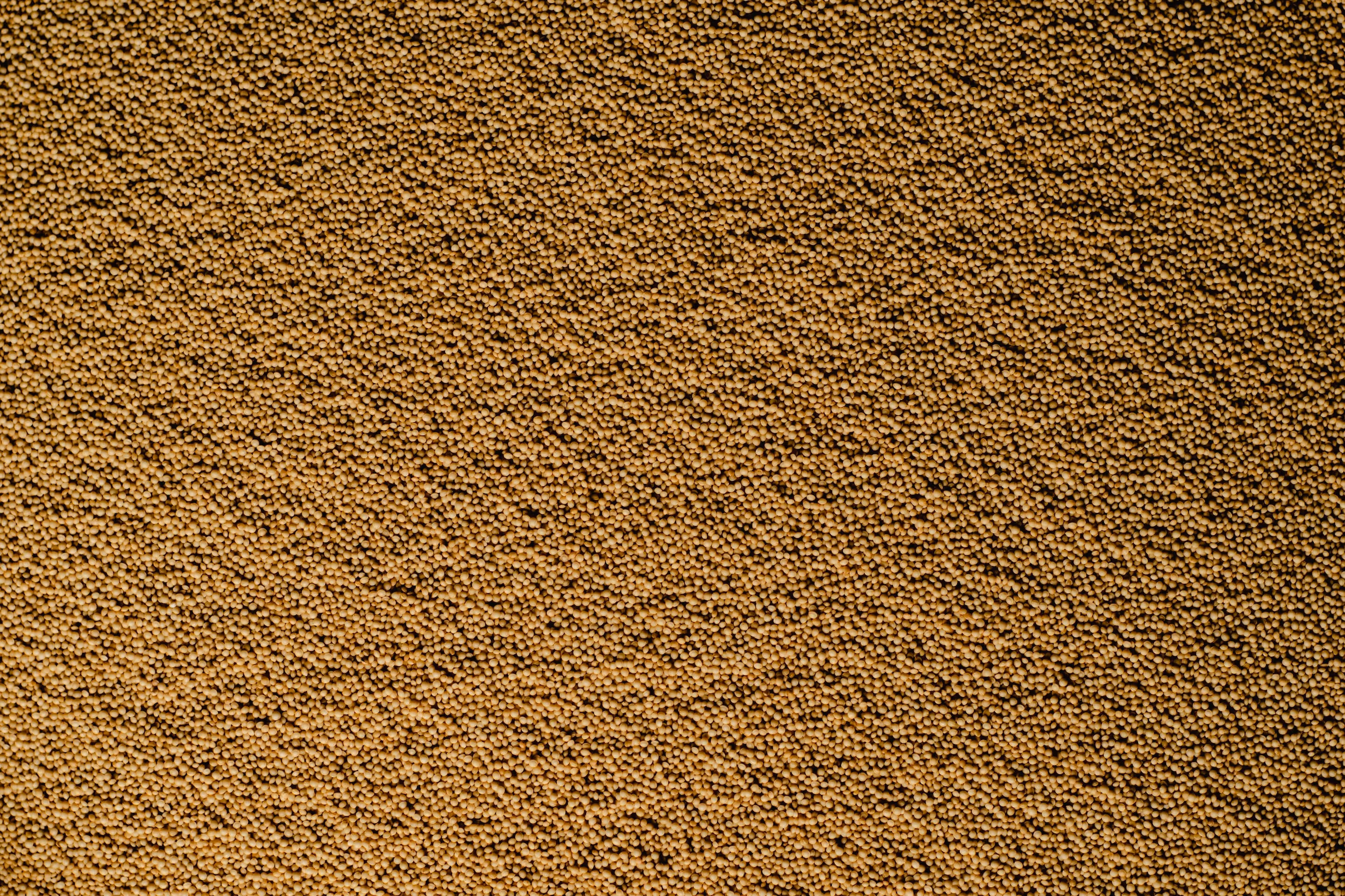 amaranth nutrition