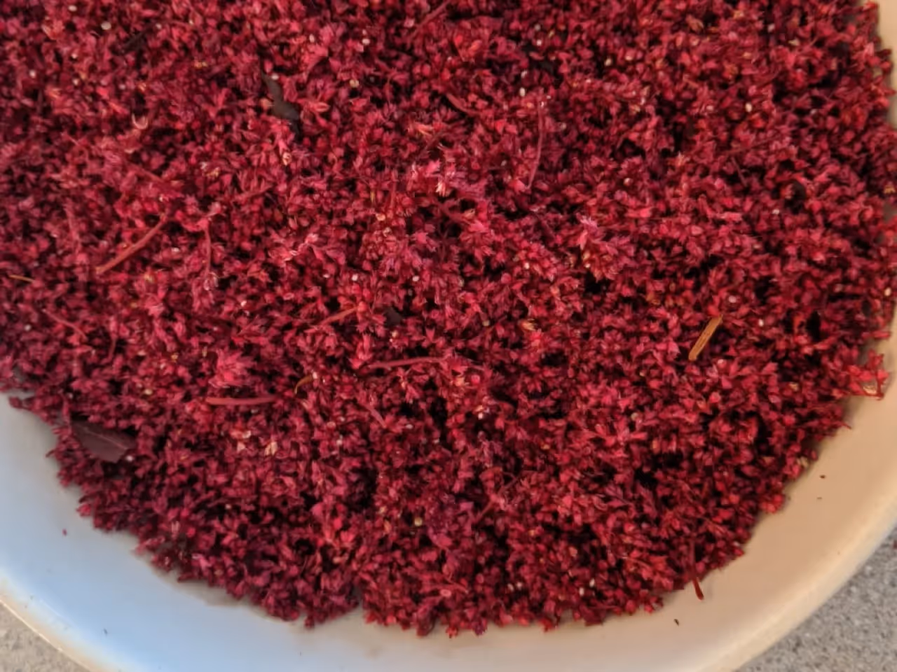 amaranth seeds before I winnowed the hulls off