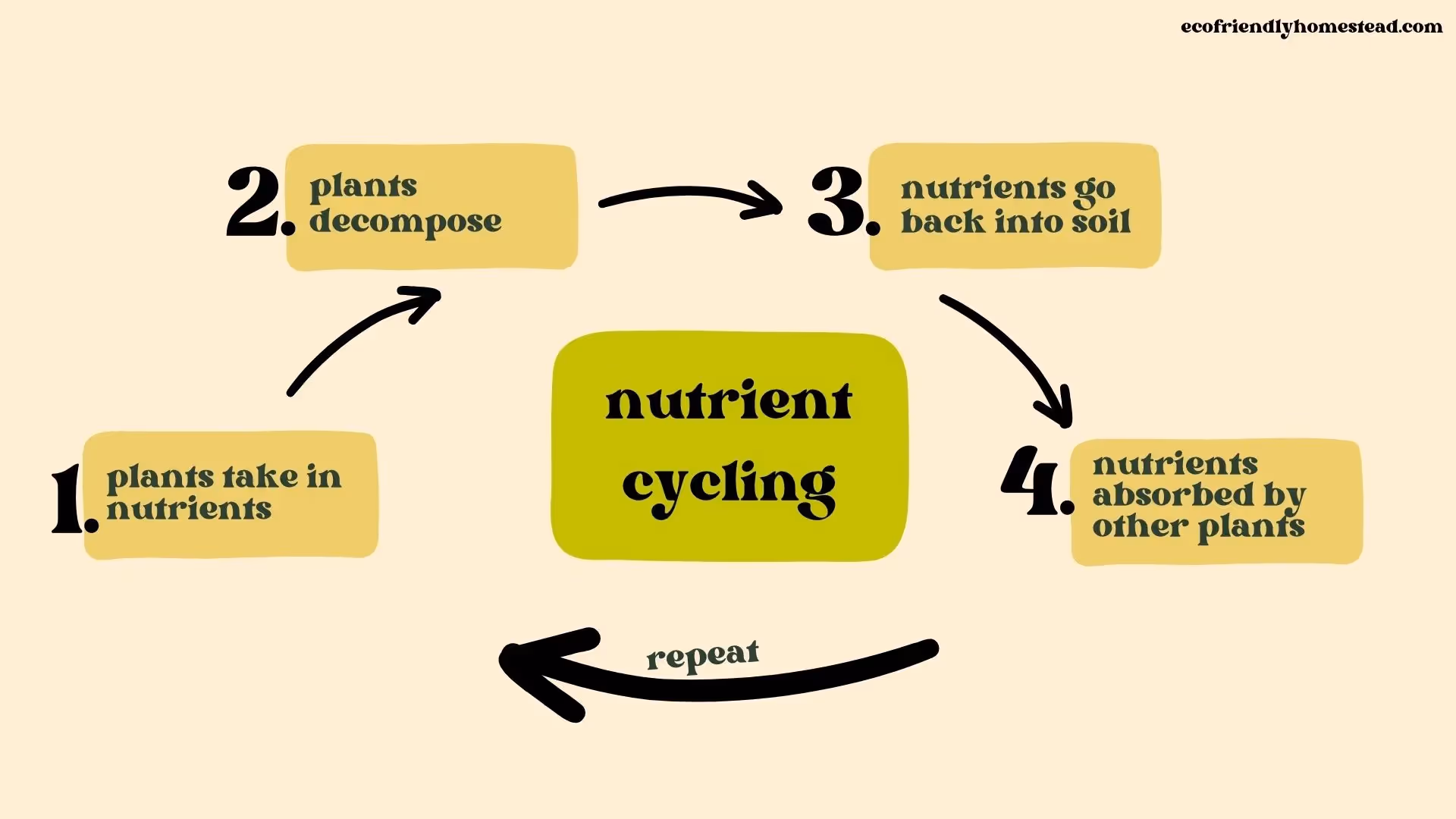 nutrient cycle diagram