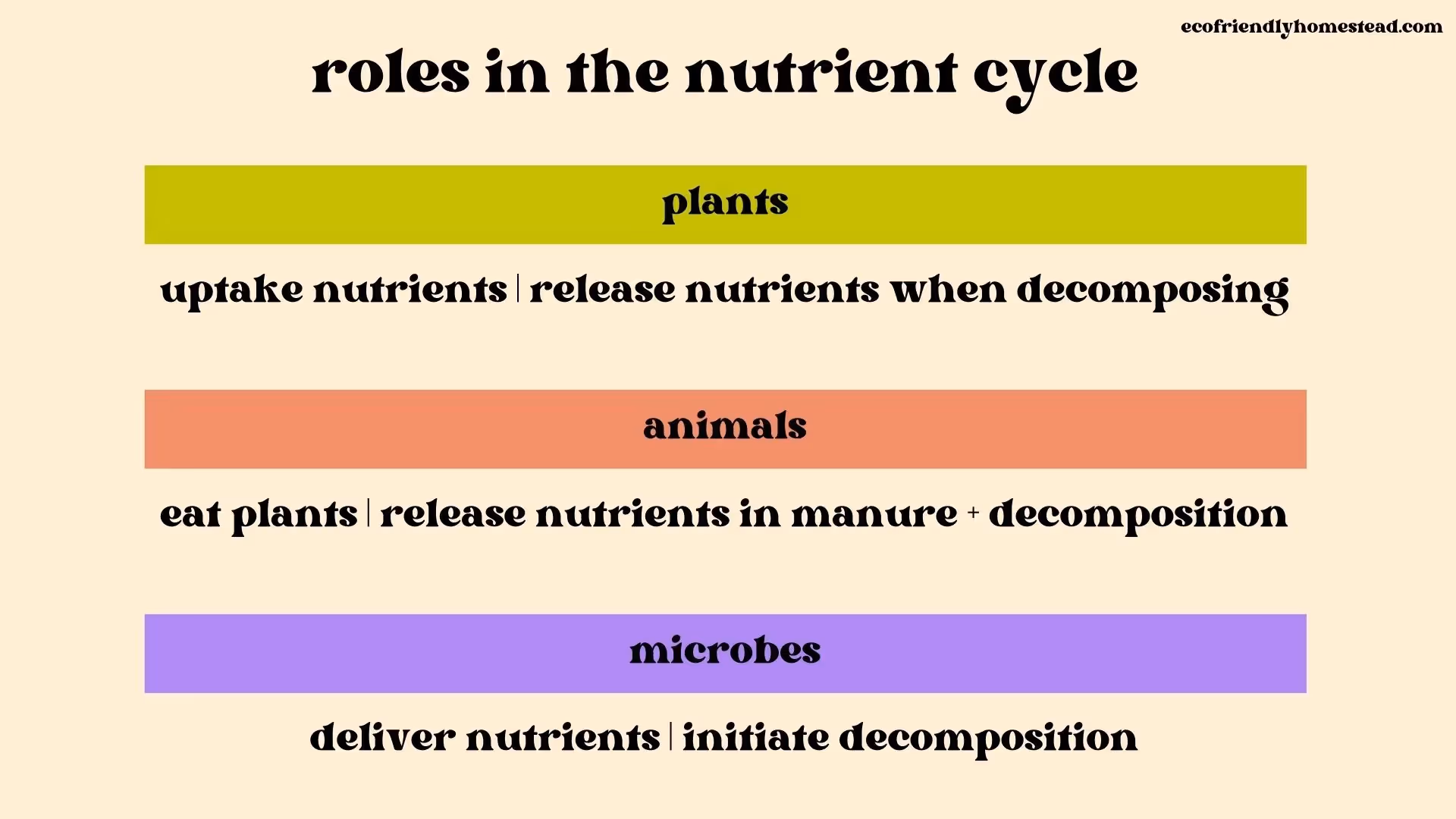 plants, animals, and microbes play essential roles in nutrient flow
