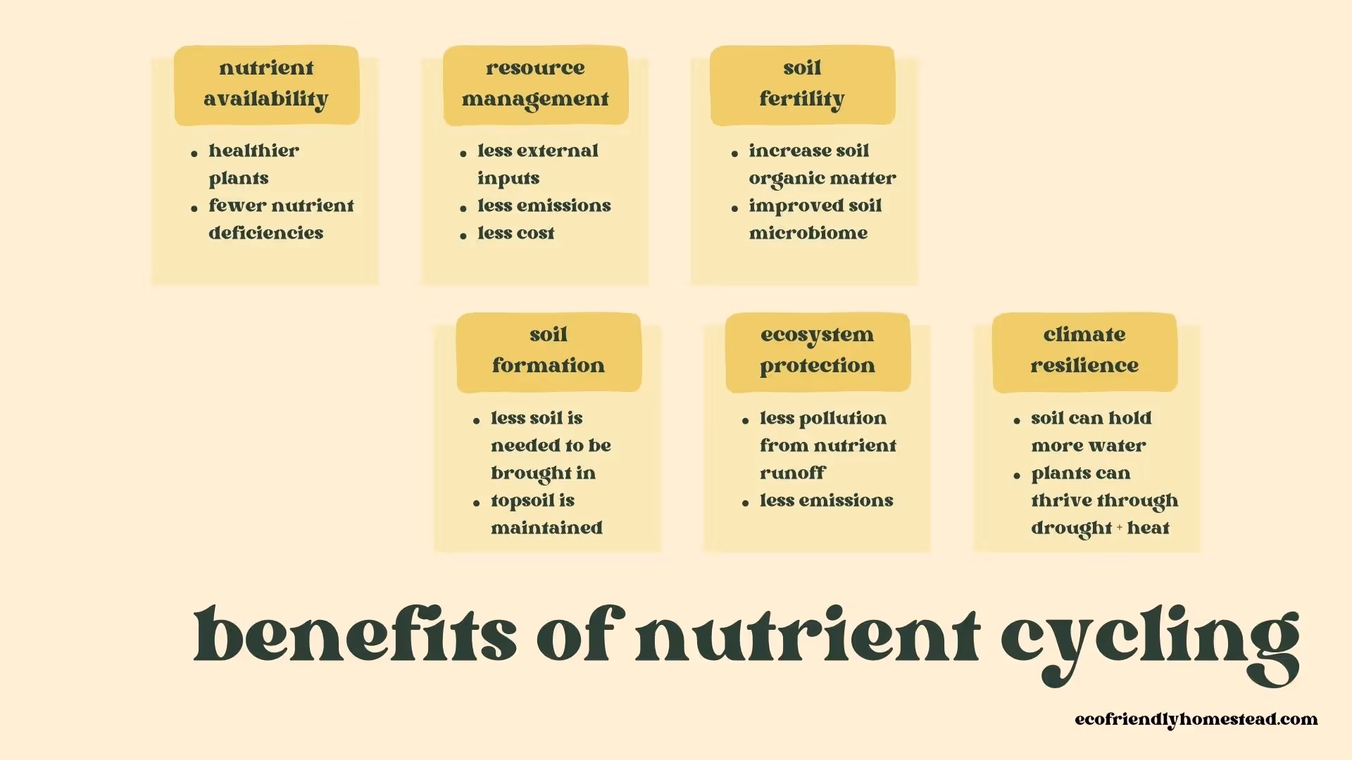 increase soil fertility with regenerative practices in the garden