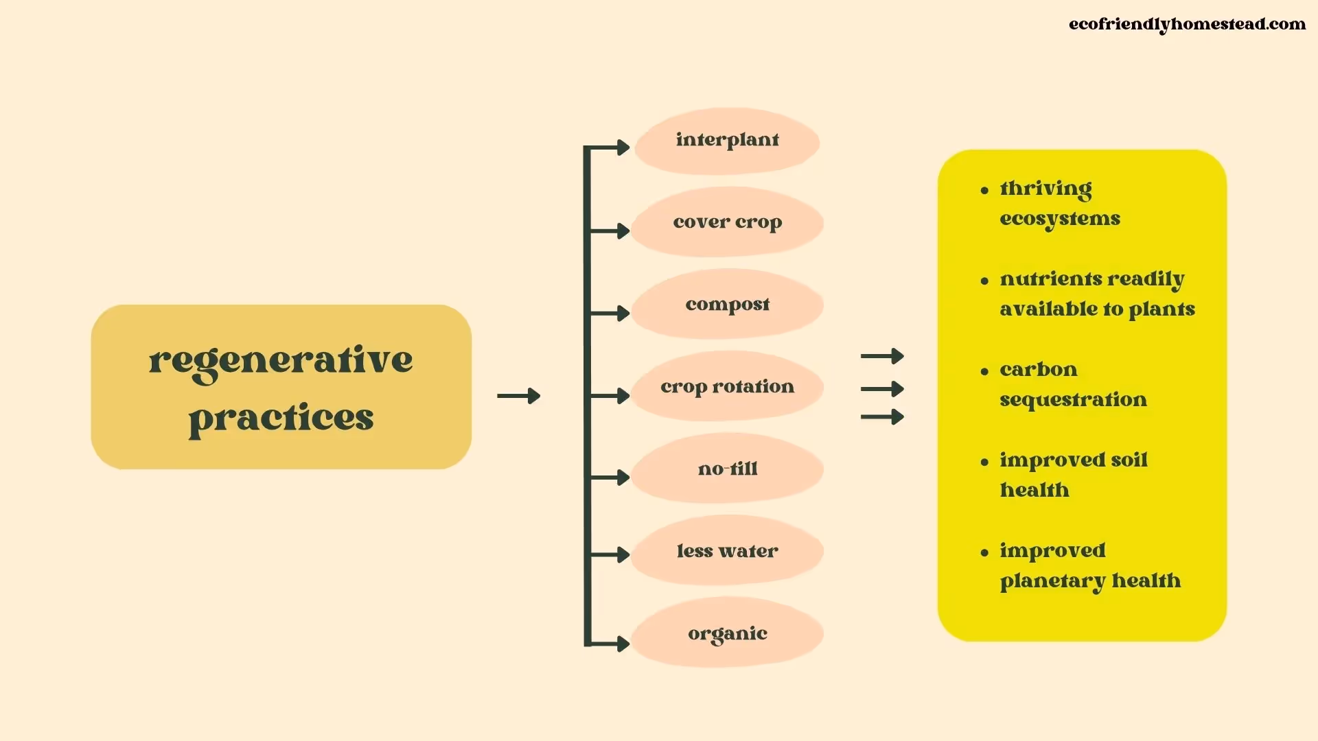 what is regenerative agriculture