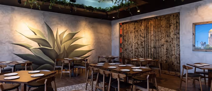 Cuishe Cocina Mexicana, San Antonio Texas