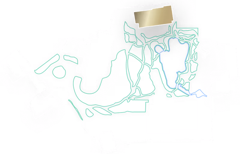 複雑に入り組んだ緑と青の線が描かれた、白い輪郭で囲まれた地図のような図。