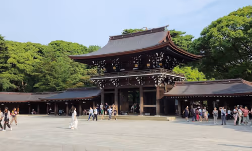 緑に囲まれた明治神宮の大きな鳥居と訪れる多くの人々。