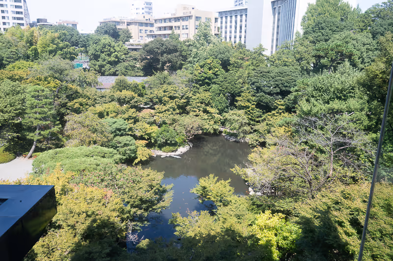 都市の建物を背景に池を囲む緑豊かな木々の景色。